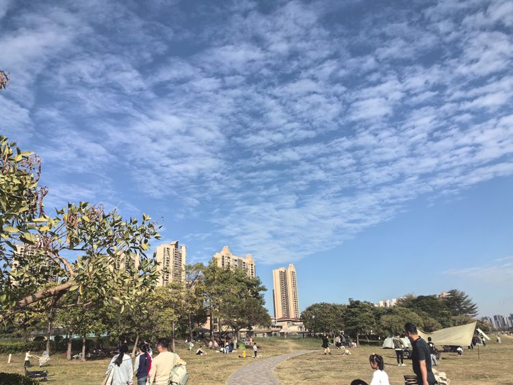 源代码编译安装redis