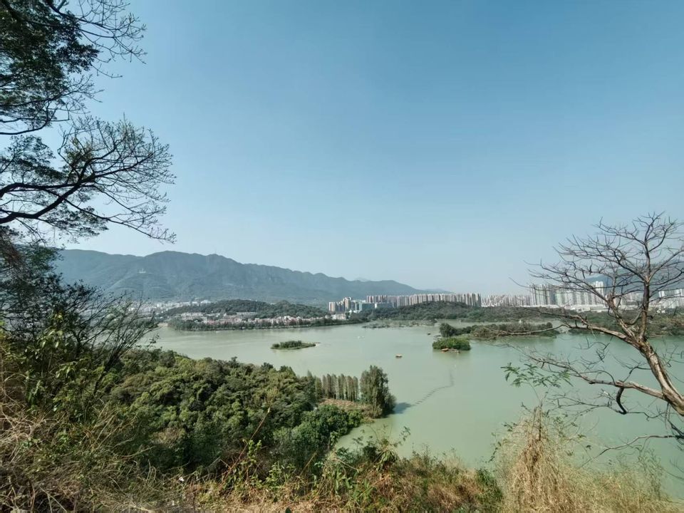 Containerd 使用HTTP协议容器镜像仓库